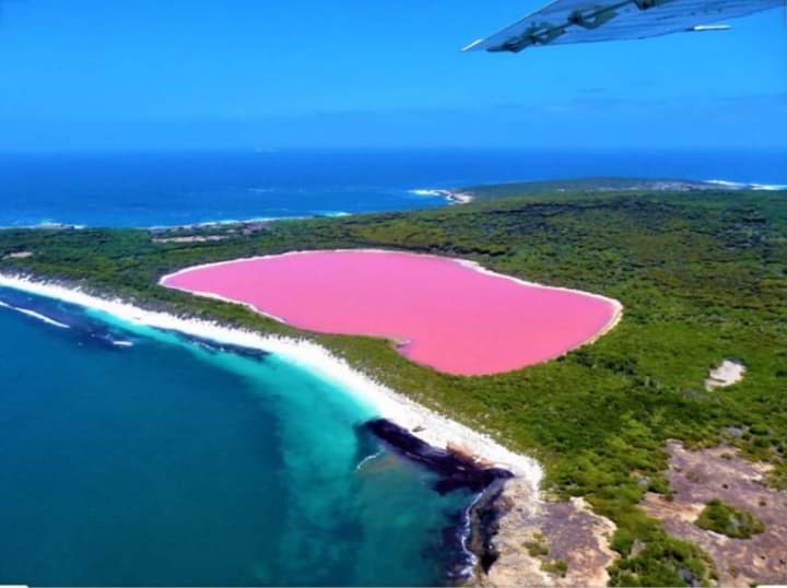 البحيره الورديه وسرها ..غريب جدا